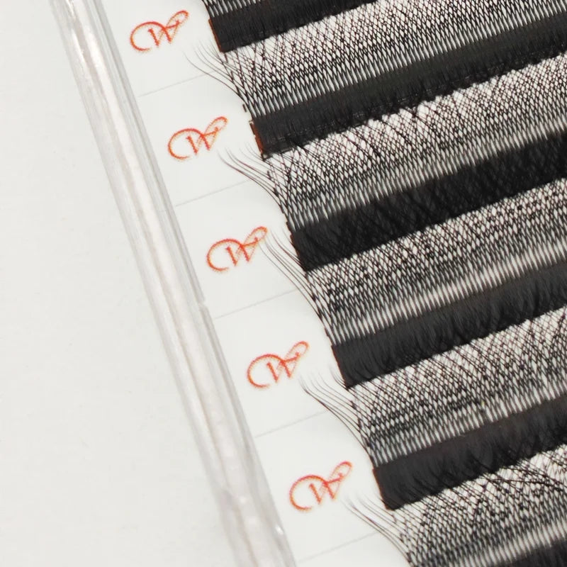 5D W Style False Eyelash Extensions Premade Fans Natural Soft Bloom Lashes