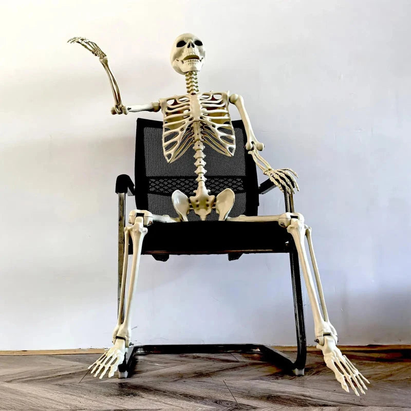 Realistic Life-Size Human Skeleton with Movable Joints for Halloween Decorations