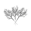 Black Artificial Dead Tree Branches - 5 Pack Realistic Plastic Decor for Halloween & Home