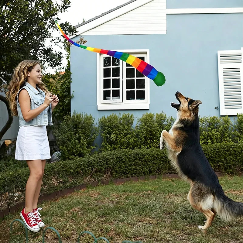 Rainbow Ribbon Sandbag Throwing Balls for Outdoor Group Fitness & Play