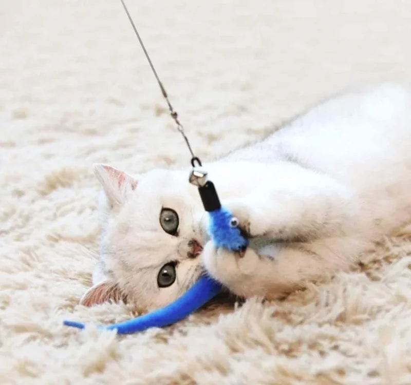 Retractable Cat Feather Wand Toy Set with Replacement Feathers, Interactive Play for Indoor Cats