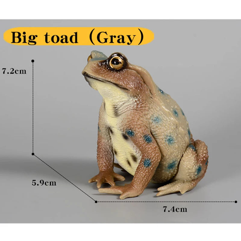 Educational Realistic Frog Figurine Hand Painted Animal Model Toy for Kids