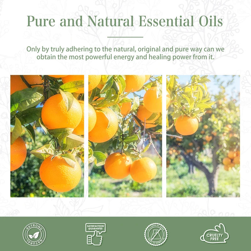 Sweet Orange Essential Oil for Diffusers & Aromatherapy, 100ml