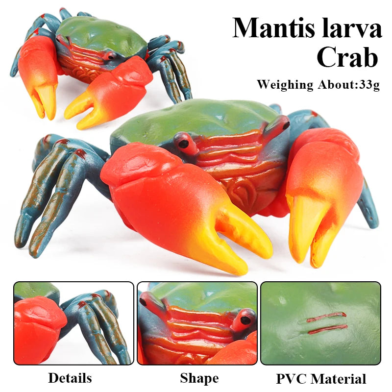 Ocean Sea Life Animals Action Figures Set - Kids Education & Toy Collection
