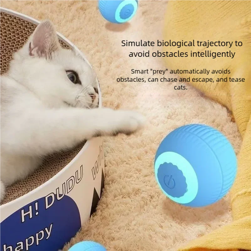 Interactive Cat Toy with Automatic Rolling Ball for Indoor Play and Training