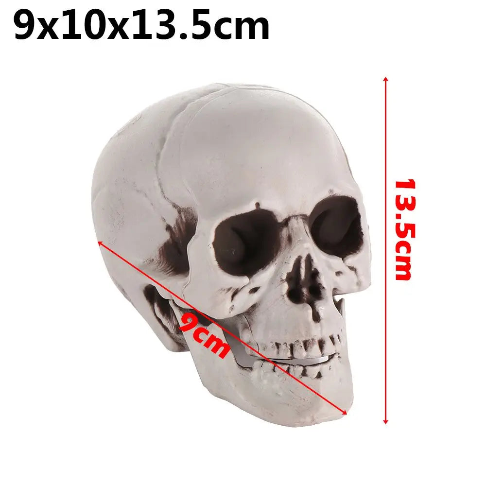 Plastic Skeleton Skull Halloween Props Hanging Decor for Parties & Events
