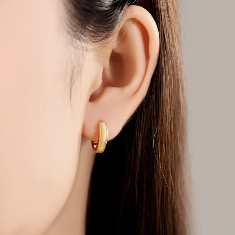 Sterling Silver Zircon Hoop Earrings with 18K Gold Lining for Women - Vintage Jewelry Gift