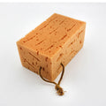Large Honeycomb Car Washing Sponge for Auto Detailing & Motorcycle Cleaning