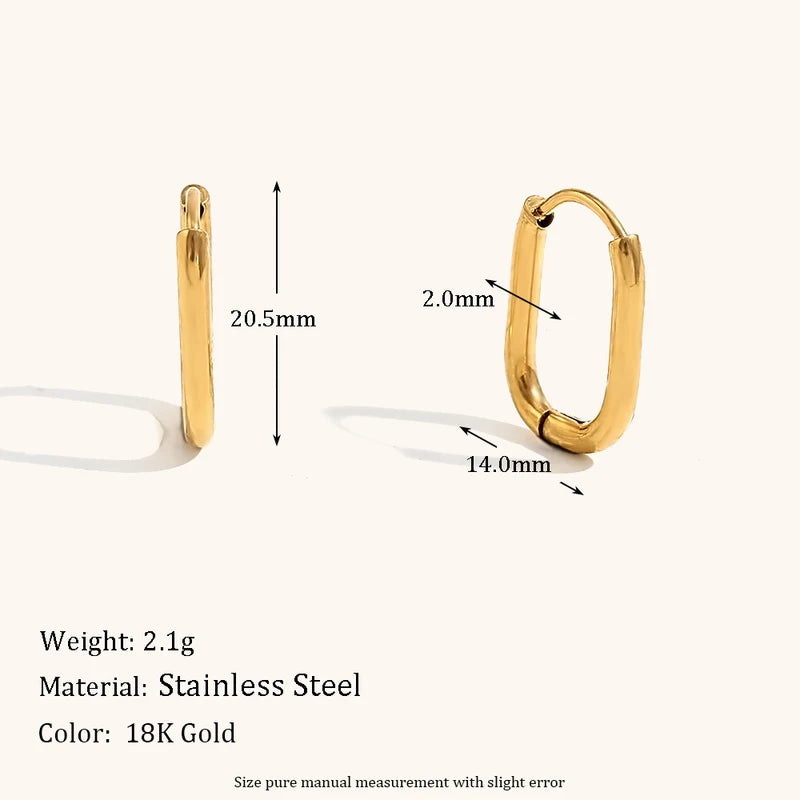 Stainless Steel Hoop Earrings for Women - Hypoallergenic & Waterproof Jewelry