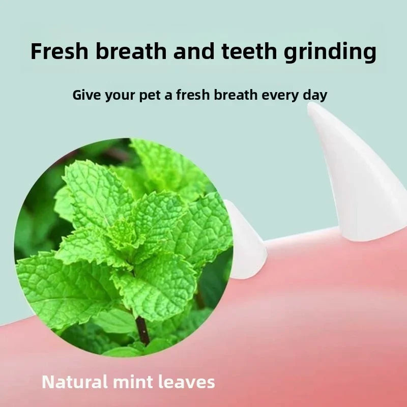 Rotatable Catnip Wall Scratcher Toys with Treats for Cats - Multiple Colors
