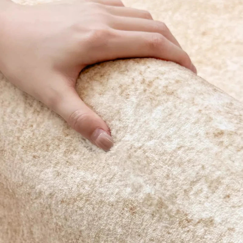 Luxury Plush Carpet for Living Room and Bedroom | Washable Floor Mat