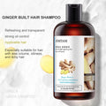 Herbal Ginger Anti-Hair Loss Shampoo for Dandruff & Oil Control 400ML