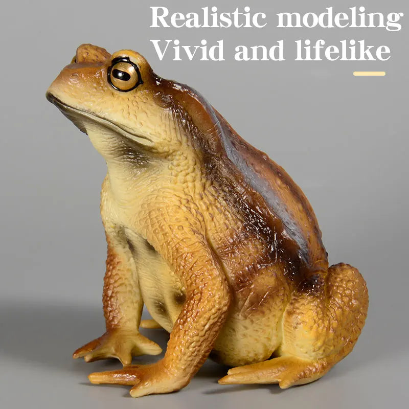 Educational Realistic Frog Figurine Hand Painted Animal Model Toy for Kids