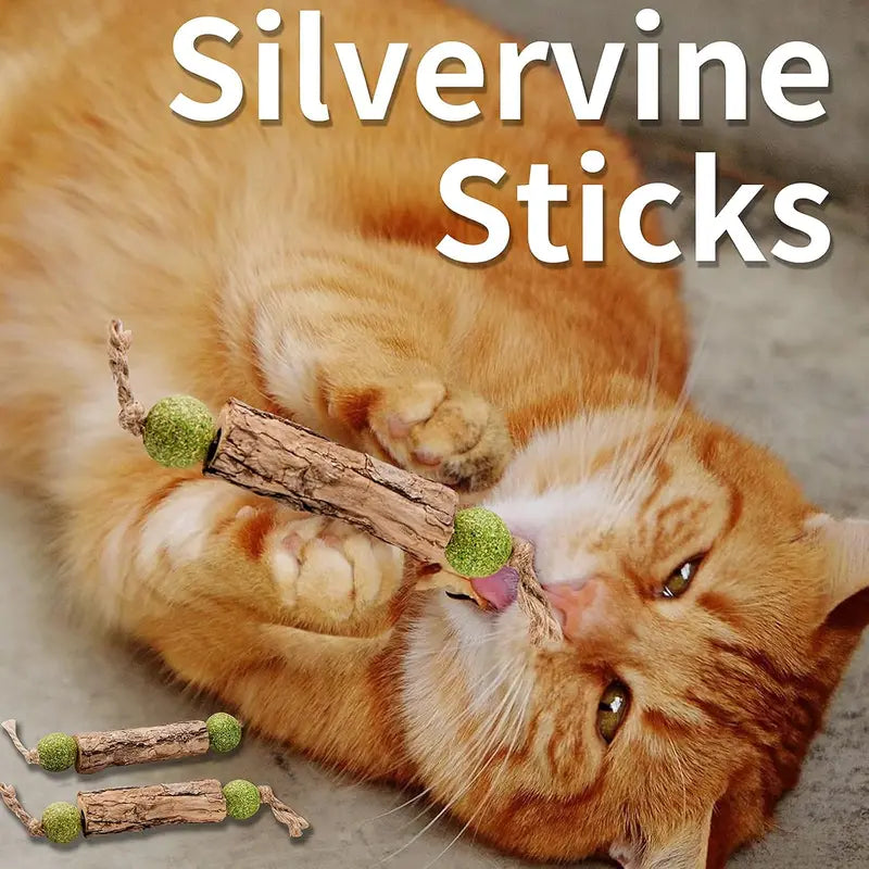Natural Catnip and Silvervine Toothpaste Stick for Cats - Oral Care & Chew Toy