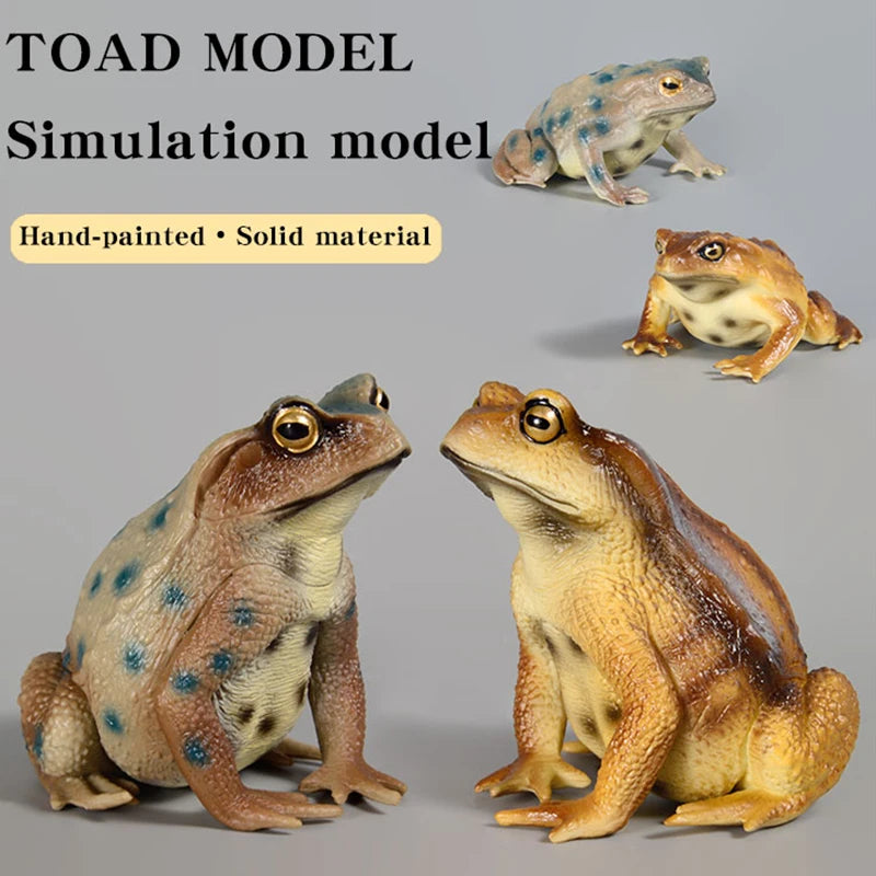 Educational Realistic Frog Figurine Hand Painted Animal Model Toy for Kids