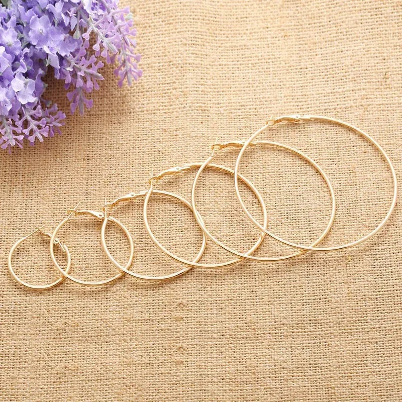 2-Pair Stainless Steel Hoop Earrings for Women Men - Fashion Jewelry Gift
