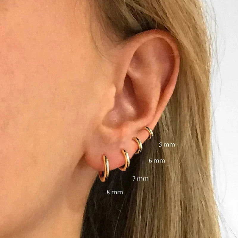 Sterling Silver Rose Gold Small Hoop Earrings for Women Girls Gift Jewelry