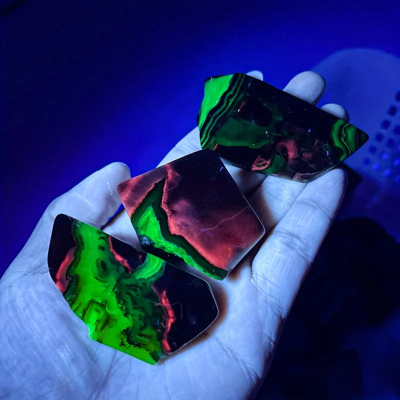 UV Reactive Fluorescent Agate Palm Specimen - Red & Green Crystal Decor