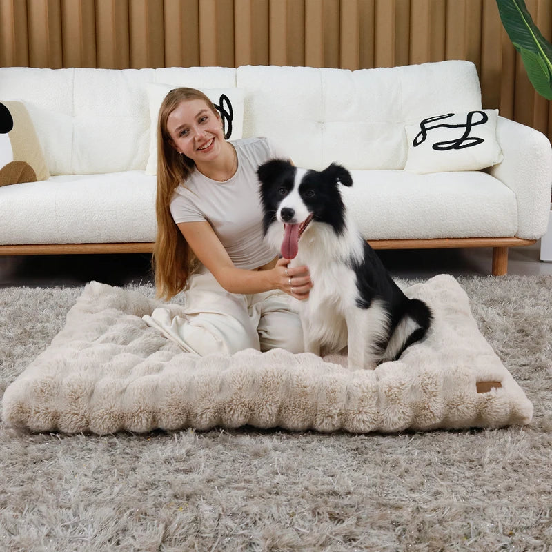 Ultra-Soft Plush Pet Bed with Thick Foam Base for Dogs and Cats