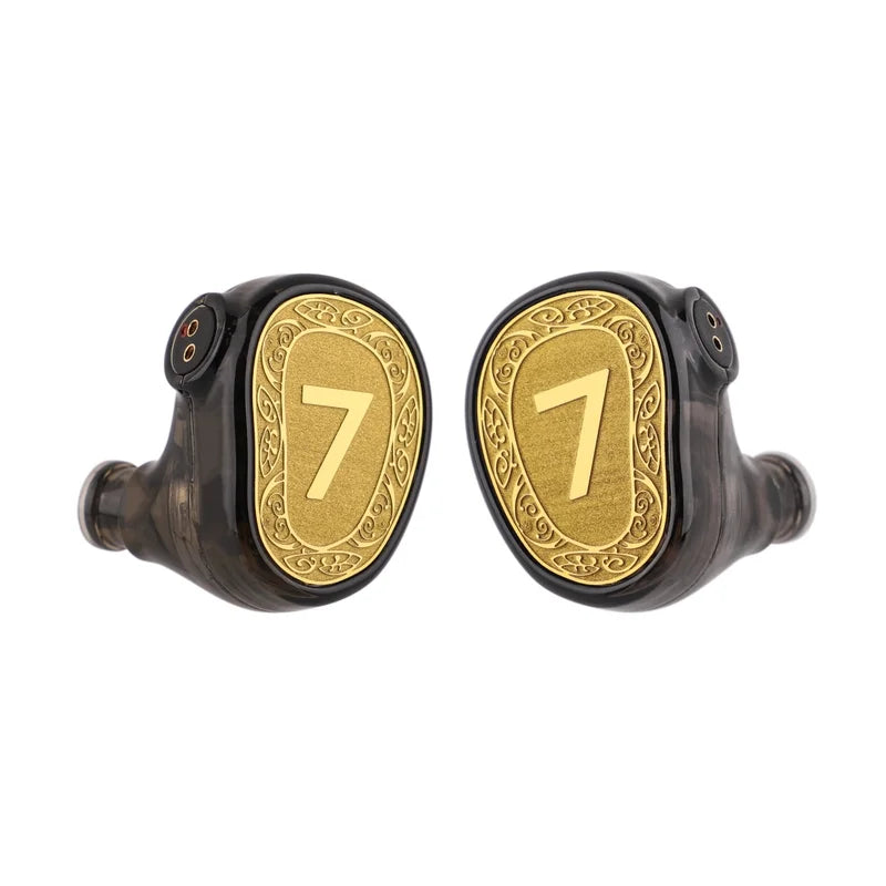 Dual Dynamic Driver Earphones with Detachable Cable and Target Curve Tuning