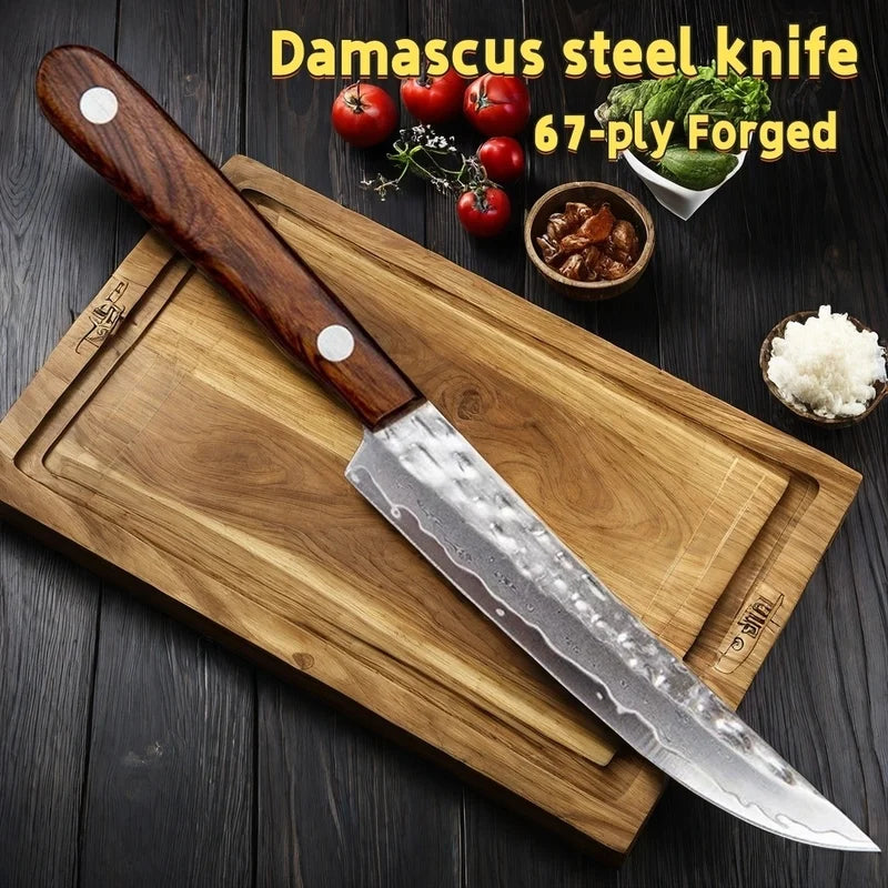 Forged Damascus Steel Fruit & Boning Knife with Solid Wood Handle - 67 Layers Kitchen Tool
