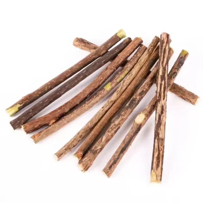 Natural Silvervine Chew Sticks for Cats Teeth Cleaning & Training - Kitten Teething Toy with Catnip Teaser