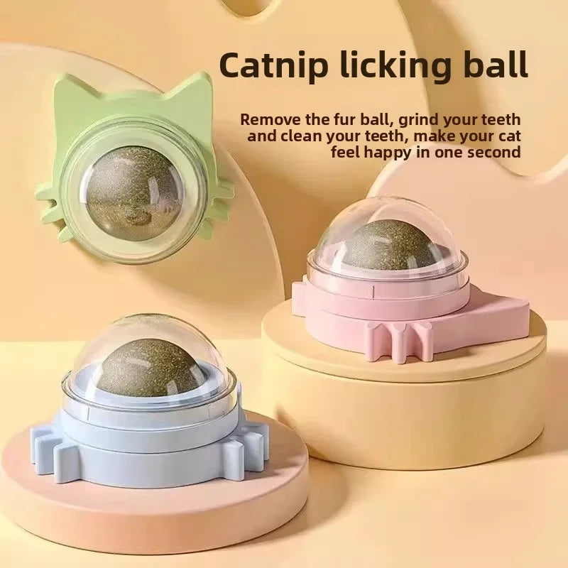 Rotatable Catnip Wall Scratcher Toys with Treats for Cats - Multiple Colors