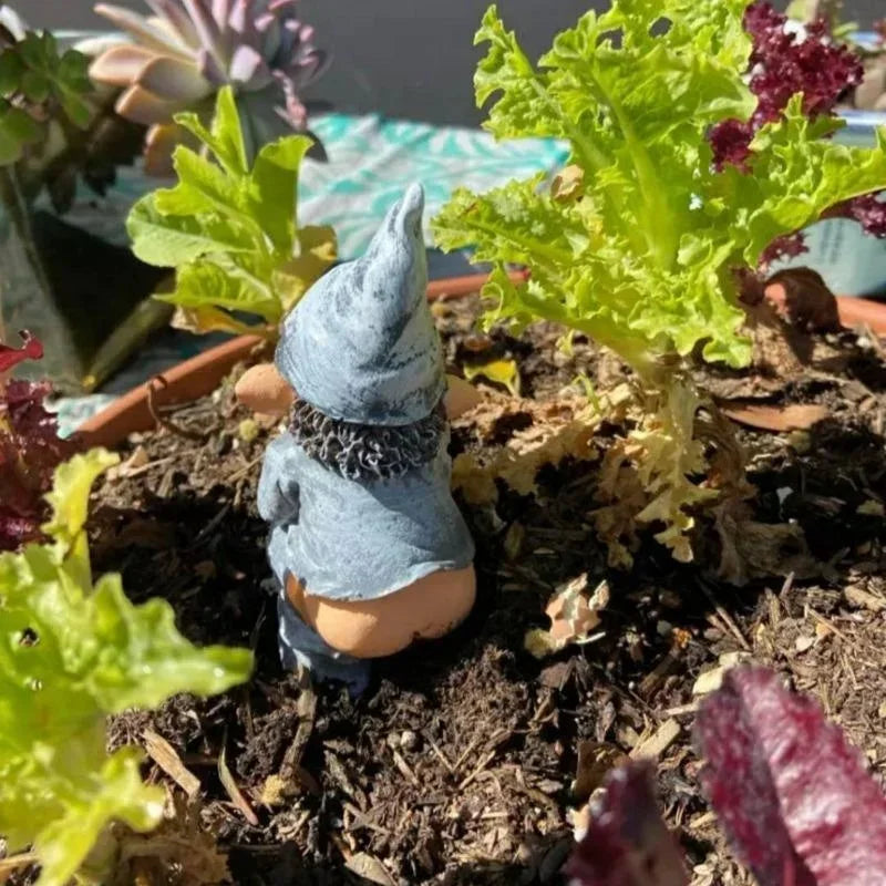 Funny Gnome Garden Statue - Dwarf Taking A Shit Lawn Decoration Resin Craft