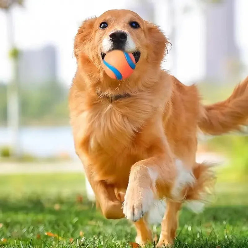 Dog Fetch Ball Toy - Durable Chew & Jumping Pet Ball for All Sizes