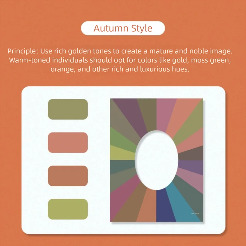 Skin Color Self Test Cards Four Seasons Color Matching Set