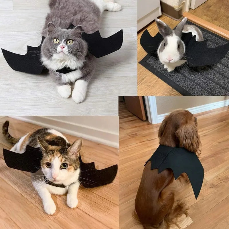 Pet Bat Wings Costume for Cats and Small Dogs Halloween Dress Up Accessories