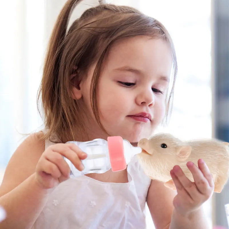Mini Silicone Pig Doll Toy - Realistic Reborn Cute Piglet with Accessories