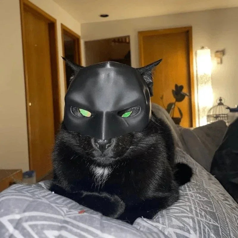 Cat Avenger Mask Bat Cosplay Hat 3D Printed Pet Costume Accessory