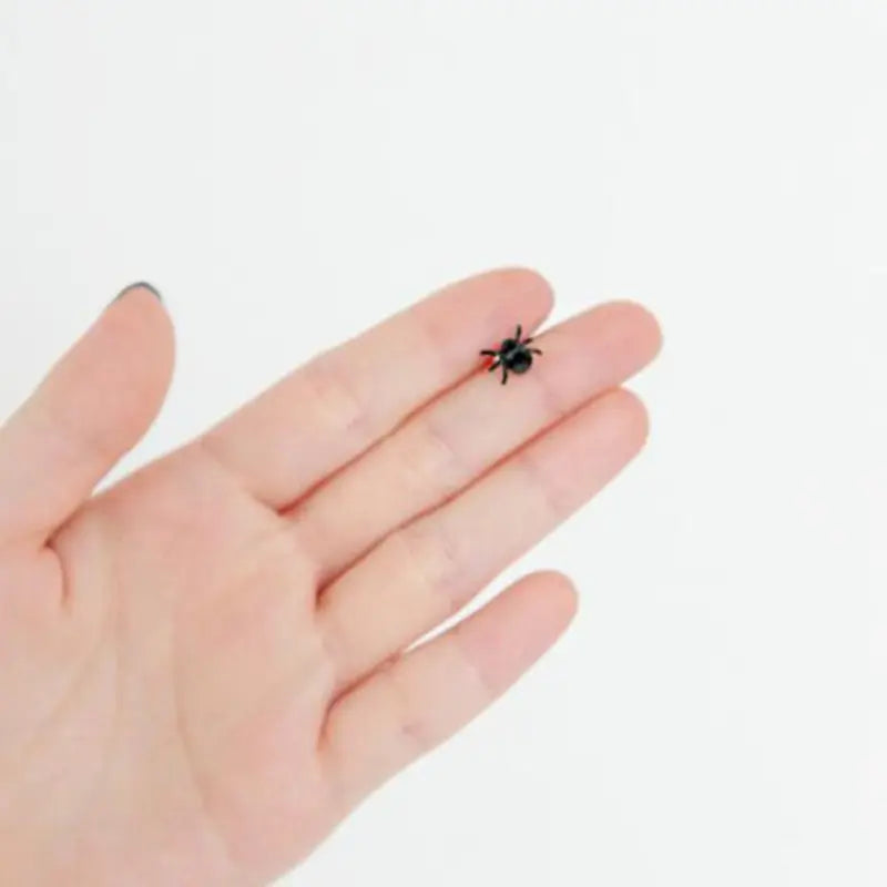 Spider Ear Stud Earrings Insect Jewelry Black Simple Fashion Accessories