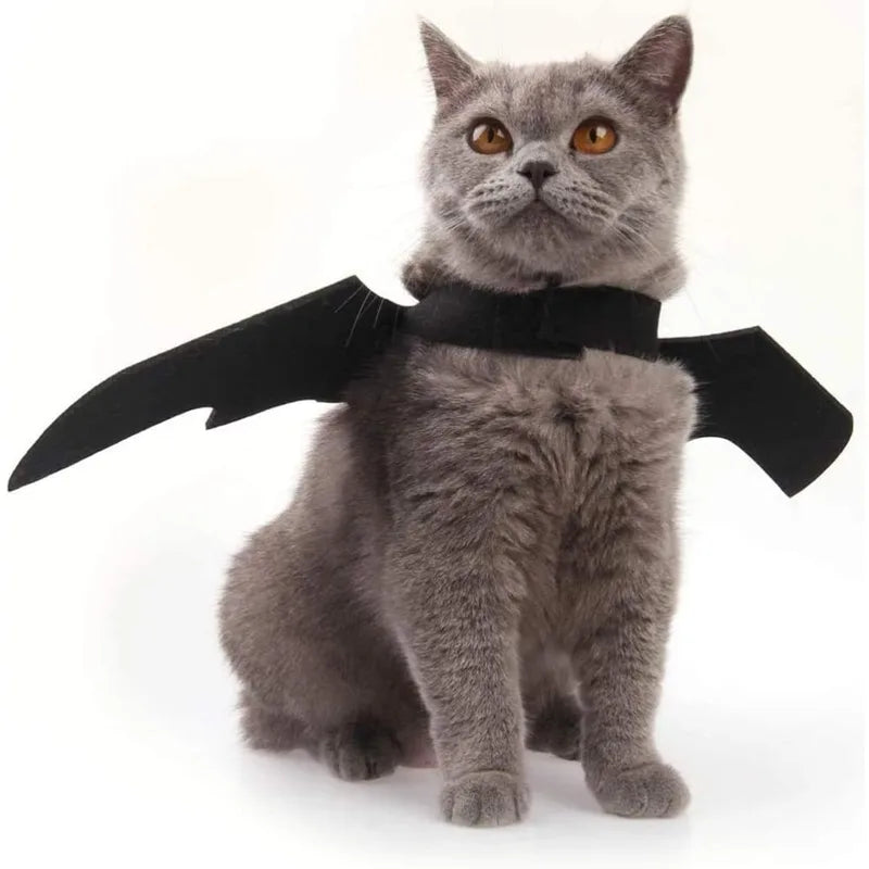 Pet Bat Wings Costume for Cats and Small Dogs Halloween Dress Up Accessories
