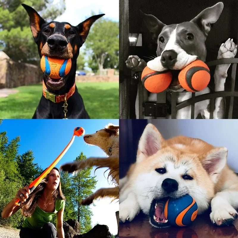 Dog Fetch Ball Toy - Durable Chew & Jumping Pet Ball for All Sizes