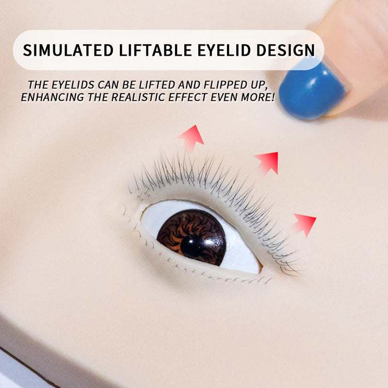 Reusable Human Head Model for Eyelash Practice and Styling Display