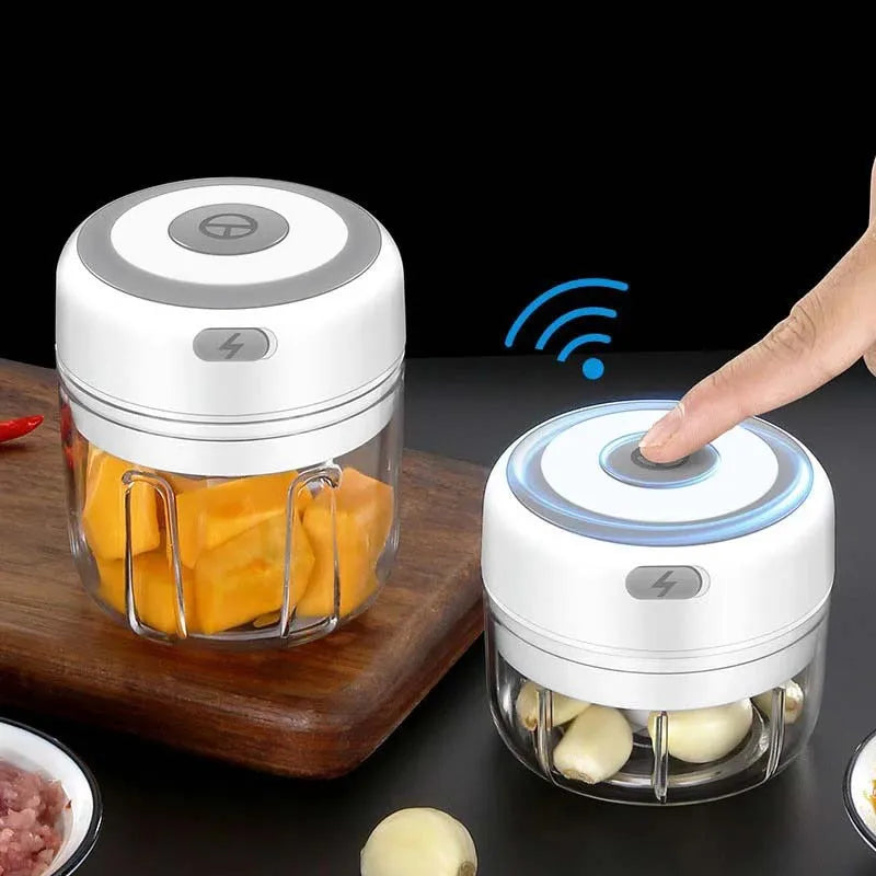 Electric Garlic Chopper 100/250ML Mini Food Processor Vegetable Grinder