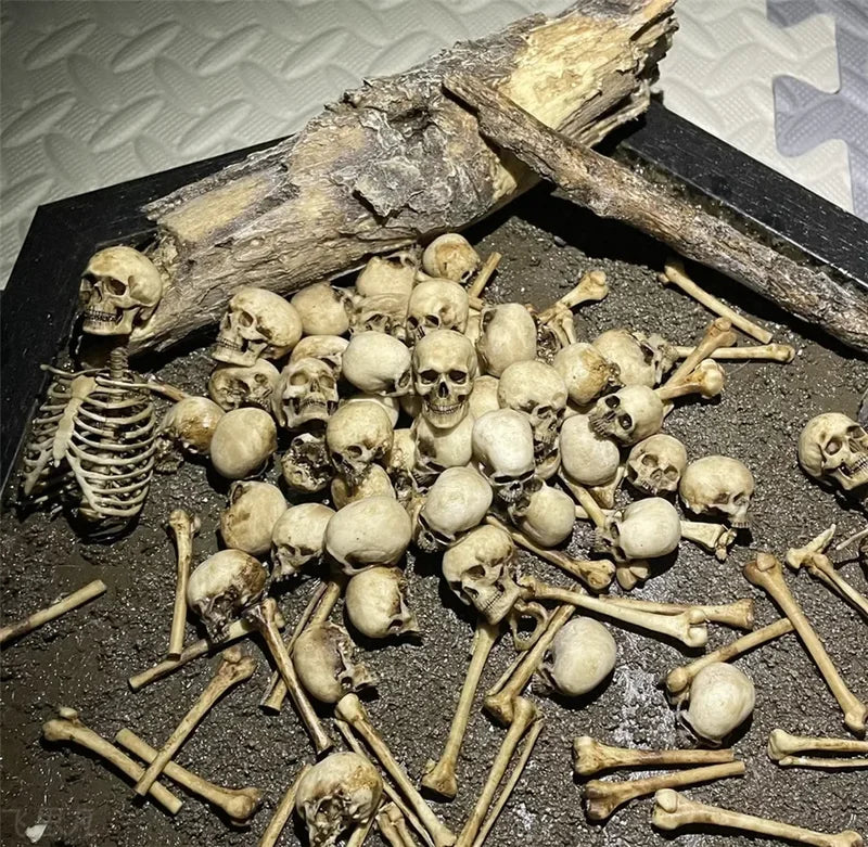 Miniature Skeleton Skull Model for Halloween Dioramas Aquarium & Home Decor - 1:12 Scale