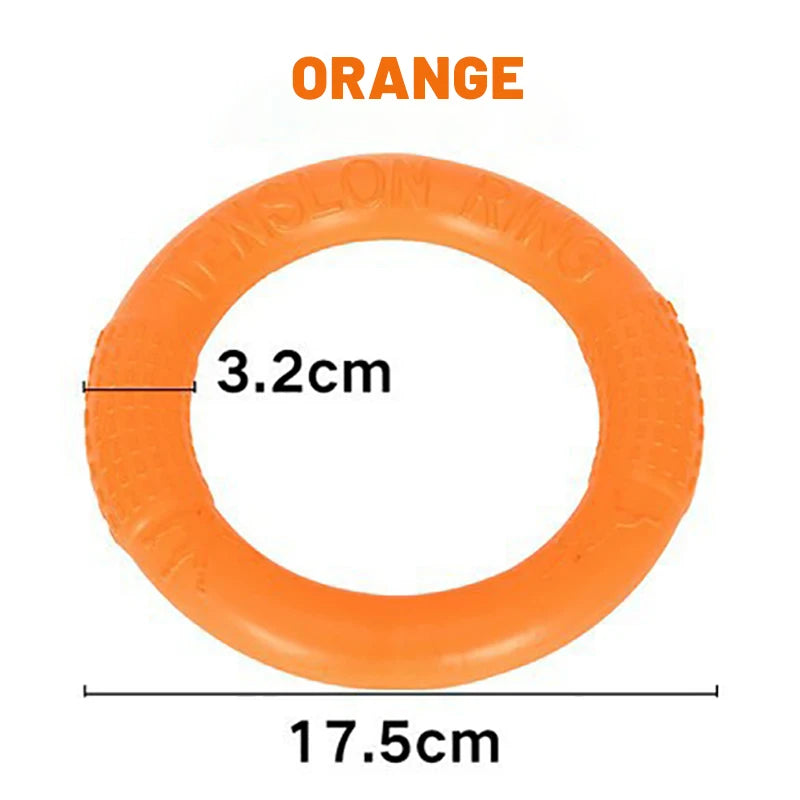 Dog Flying Disk Toy Interactive Training Ring EVA Resistant Fetch Ring