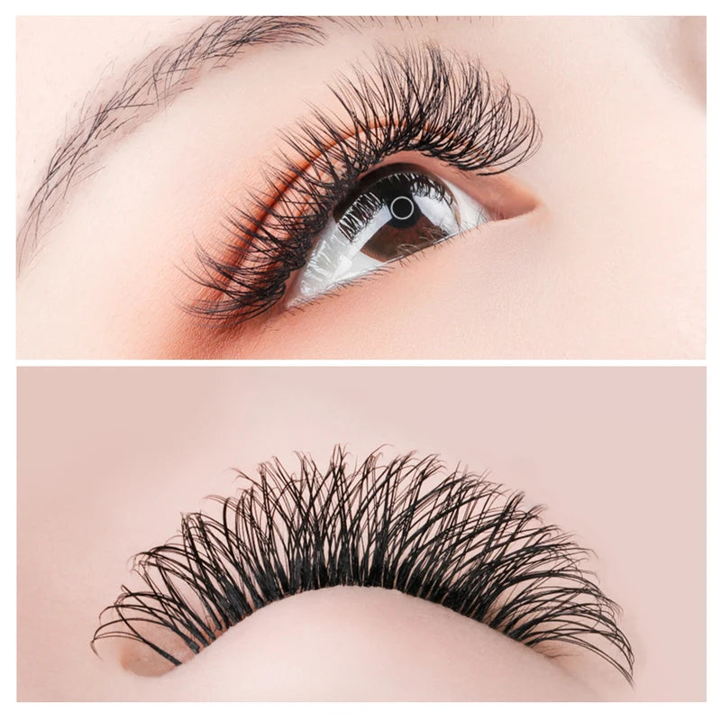 False Eyelash Extensions 3D 4D 5D W Shape Volume Fans Natural Lashes