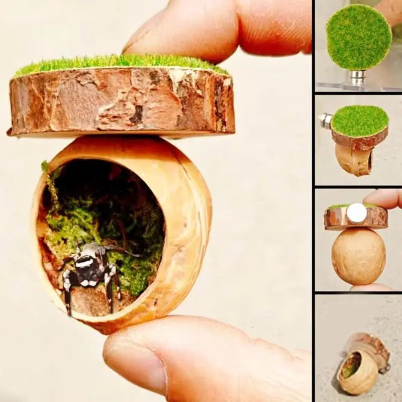 Magnetic Jumping Spider Hide Cave Mini Habitat Handmade Pet Spider Enclosure