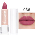 Long Lasting Waterproof Matte Lipstick - 15 Colors, Velvet Finish