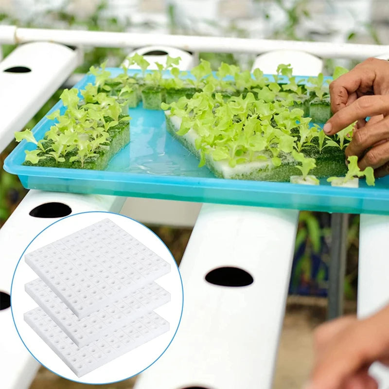 500PCS Hydroponic Sponge Cubes for Seedling Propagation Garden Planting