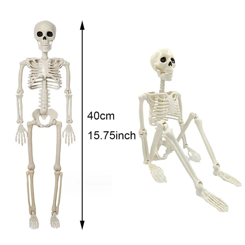Posable Skeleton Halloween Decoration Human Bone Horror Prop