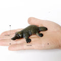 Wild Animal Model Figures Set - Forest Creatures for Kids Collection