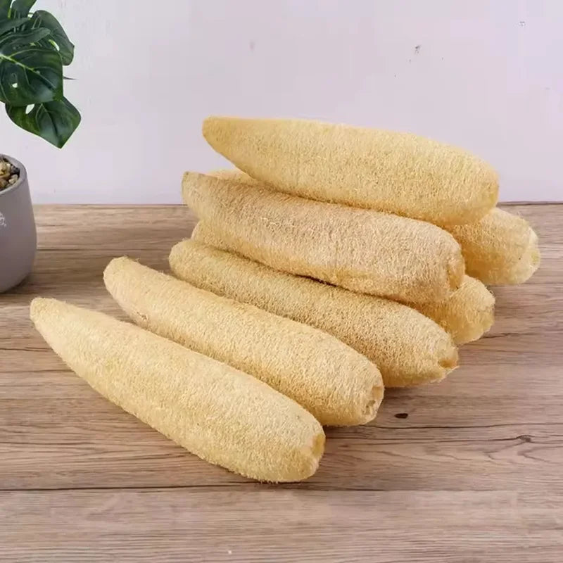 Natural Loofah Exfoliating Body Sponge with Rope for Skin Care Spa Shower