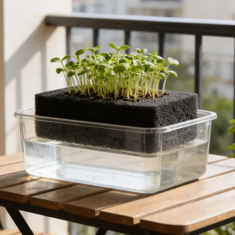 Plant Seedling Sponge Blocks - Hydroponic Grow Nursery for Soilless Cultivation