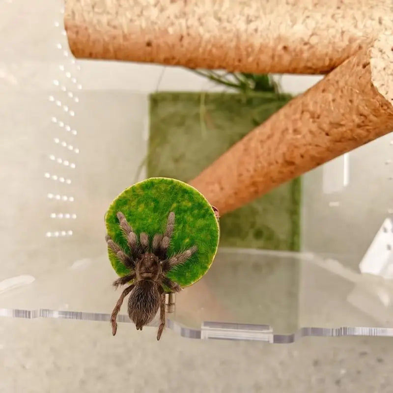 Magnetic Jumping Spider Hide Cave Mini Habitat Handmade Pet Spider Enclosure