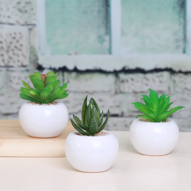 3Pcs Artificial Succulent Plants - Realistic Faux Greenery for Office & Home Decor